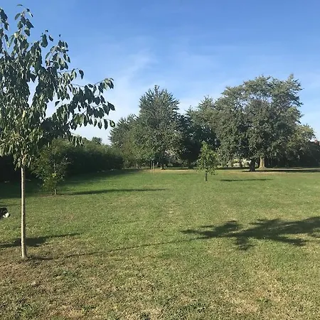 Apartmán •num3•la Buena Vida• Appt 40m2 Calme & Lumineux• Aulnoy-lez-Valenciennes
